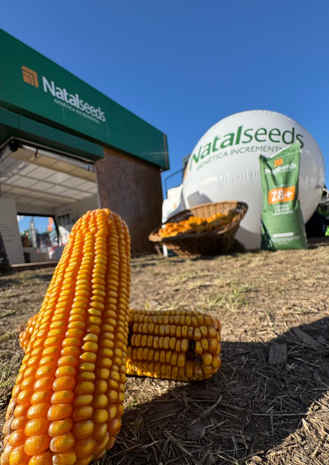 NatalSeeds en AgroActiva, con genética y soluciones a medida para el productor 